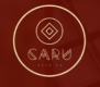 Caru Spirits  logo